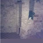 Apri Galleria Immagini