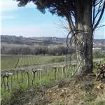Apri Galleria Immagini