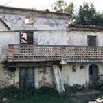 Apri Galleria Immagini