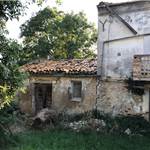 Apri Galleria Immagini