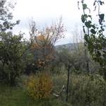 Apri Galleria Immagini