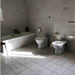 Apri Galleria Immagini