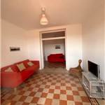 Apri Galleria Immagini