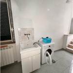 Apri Galleria Immagini