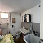 Apri Galleria Immagini