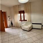 Apri Galleria Immagini