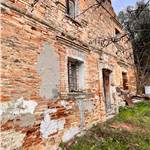 Apri Galleria Immagini