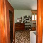 Apri Galleria Immagini