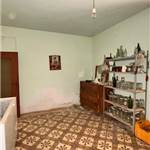 Apri Galleria Immagini