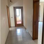 Apri Galleria Immagini