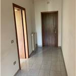 Apri Galleria Immagini