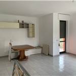 Apri Galleria Immagini