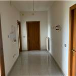 Apri Galleria Immagini