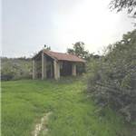 Apri Galleria Immagini