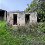 Apri Galleria Immagini