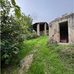 Apri Galleria Immagini