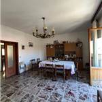 Apri Galleria Immagini