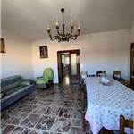 Apri Galleria Immagini