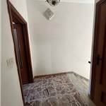 Apri Galleria Immagini
