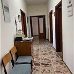 Apri Galleria Immagini