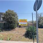 Apri Galleria Immagini