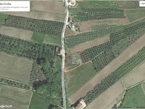 Apri Galleria Immagini