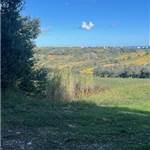 Apri Galleria Immagini