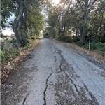 Apri Galleria Immagini