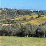 Apri Galleria Immagini