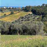 Apri Galleria Immagini