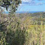 Apri Galleria Immagini