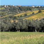 Apri Galleria Immagini