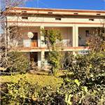 Apri Galleria Immagini