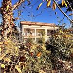 Apri Galleria Immagini