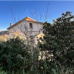 Apri Galleria Immagini