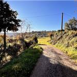 Apri Galleria Immagini