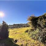 Apri Galleria Immagini