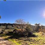 Apri Galleria Immagini