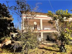 Apri Galleria Immagini