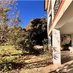 Apri Galleria Immagini