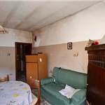 Apri Galleria Immagini