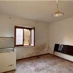 Apri Galleria Immagini