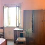 Apri Galleria Immagini