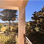 Apri Galleria Immagini