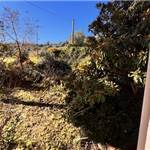 Apri Galleria Immagini