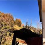 Apri Galleria Immagini