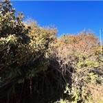 Apri Galleria Immagini