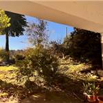 Apri Galleria Immagini