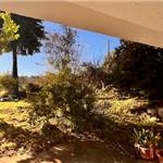 Apri Galleria Immagini