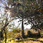 Apri Galleria Immagini